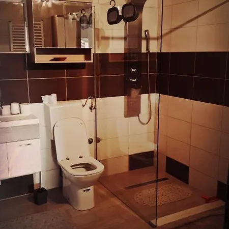 Apartament Gabi *