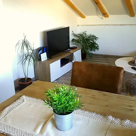 Apartment Gabi